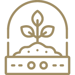 incubation copy